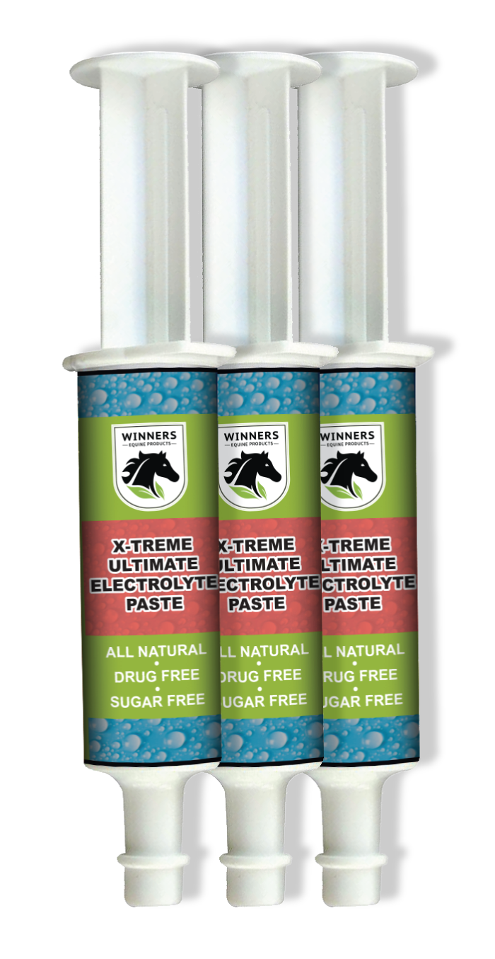 X-Treme Ultimate Electrolyte Paste