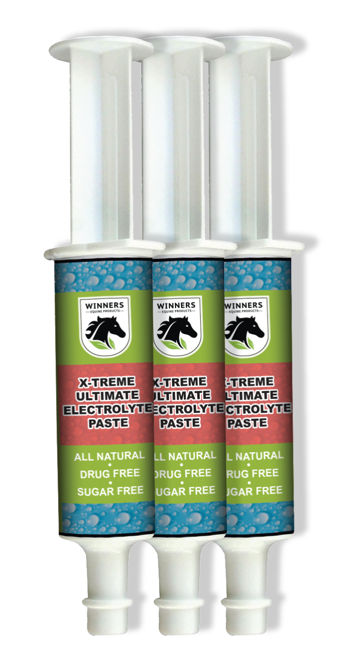 X-Treme Ultimate Electrolyte Paste | All natural products for the